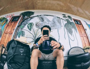 Sloths at Arenal Container Hostel.