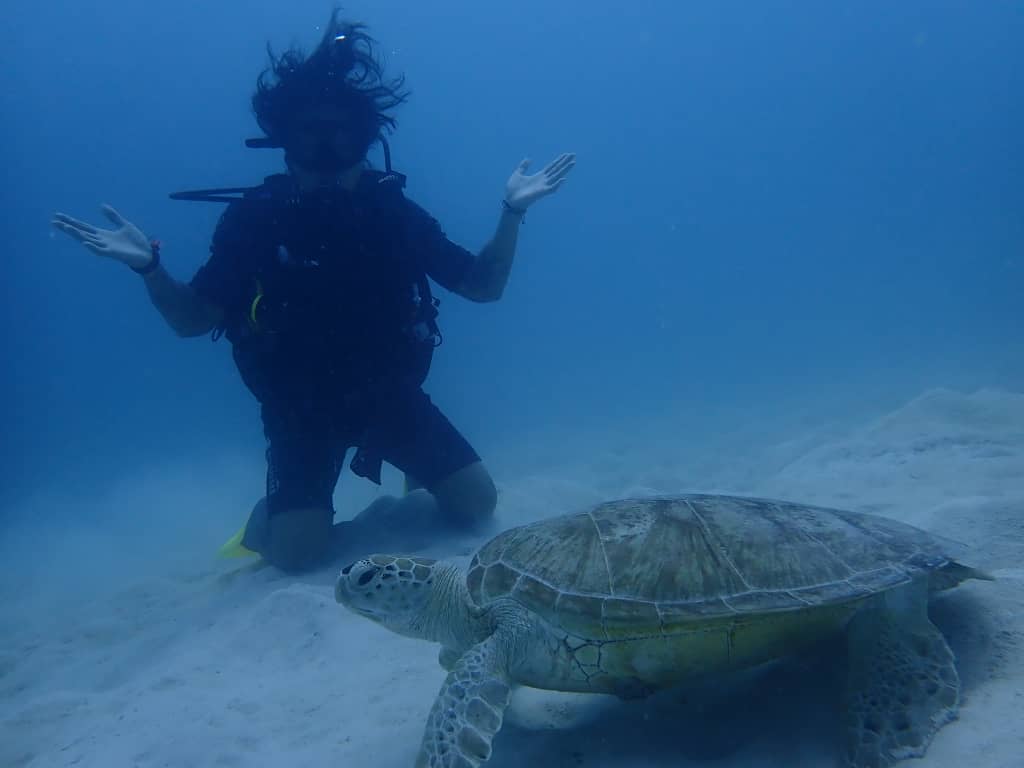 Save the oceans > TheRoamingNoodle