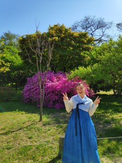 Rosa adorning traditional Korean clothing > TheRoamingNoodle