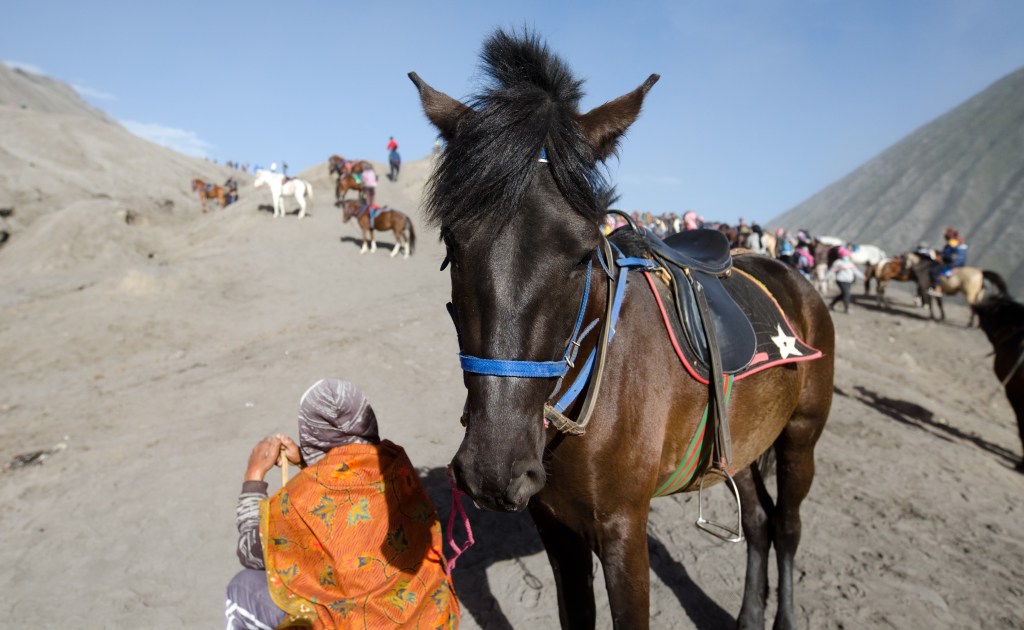 Mount Bromo > Indonesia > TheRoamingNoodle