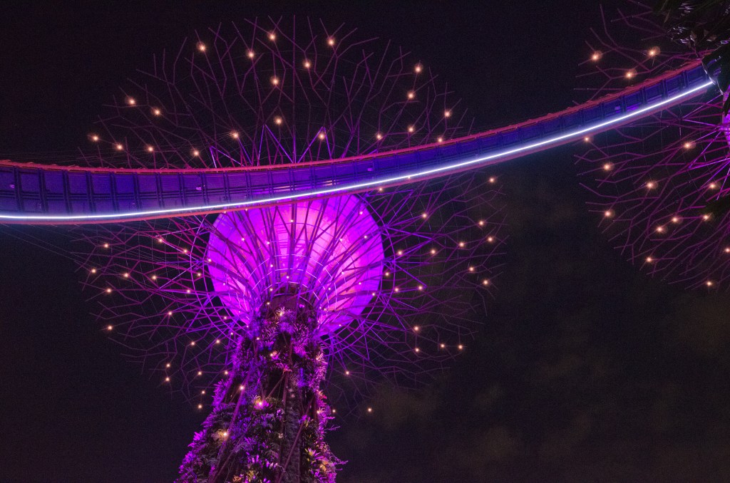 Singapore > TheRoamingNoodle