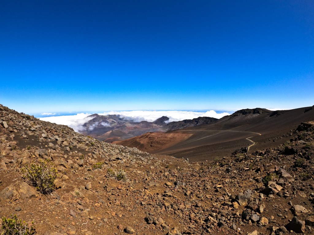 Maui > TheRoamingNoodle